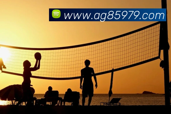 企业概况
